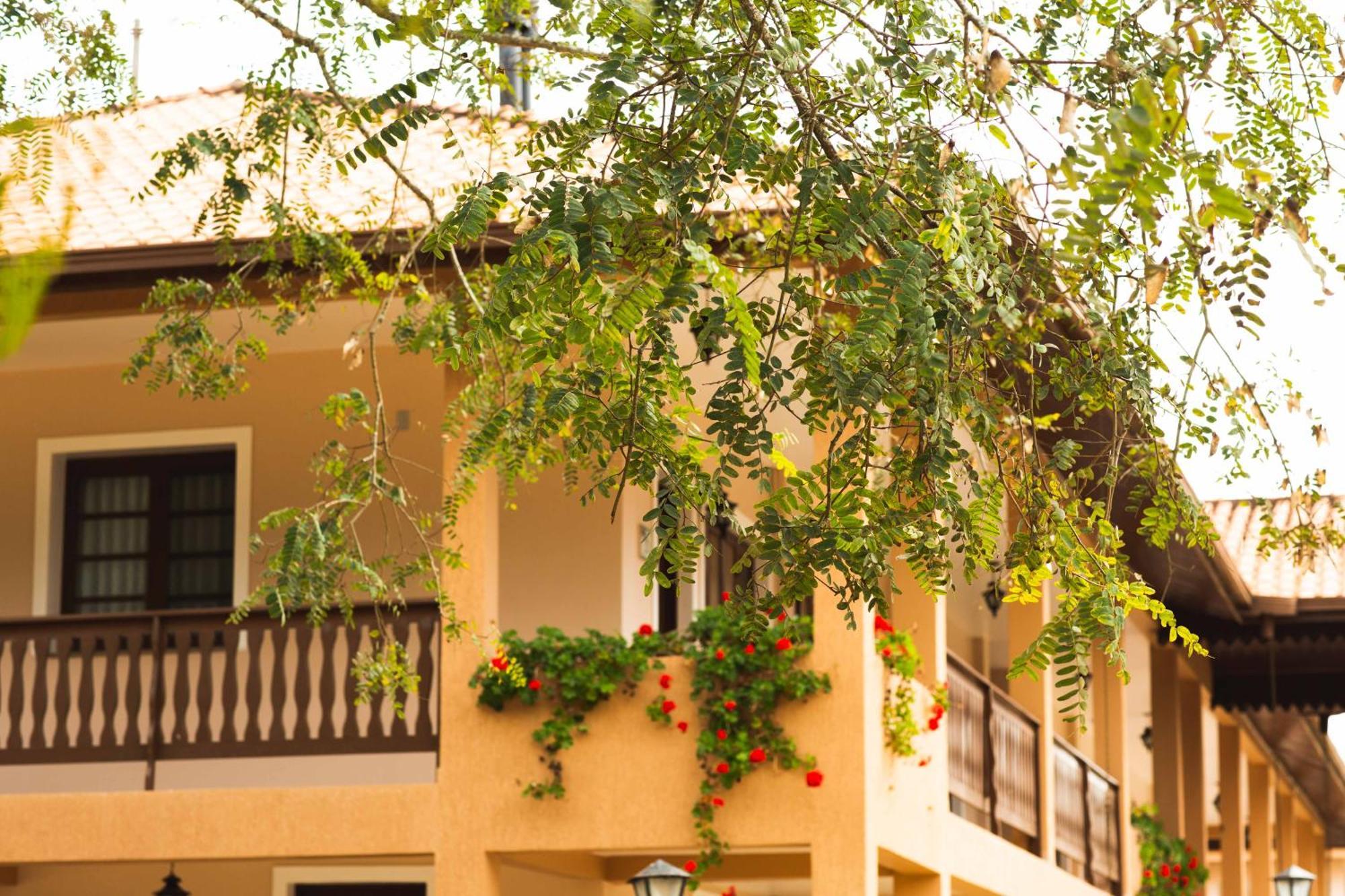 Hotel Fazenda Itaytyba 蒂巴吉 外观 照片